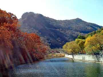 新澳天天开奖资料大全旅游团，长葛招标